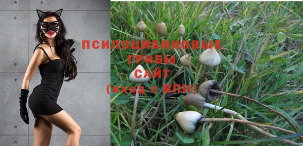 PSILOCYBIN Абдулино