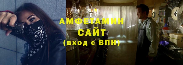 стаф Алзамай