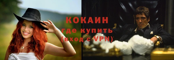 стаф Алзамай