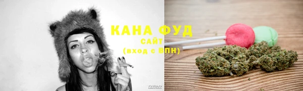стаф Алзамай