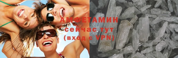 стаф Алзамай
