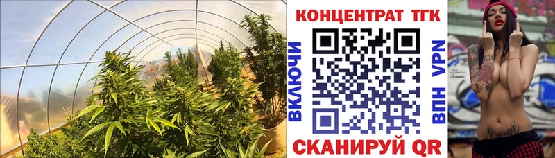 где можно купить   Уварово  Дистиллят ТГК Wax 