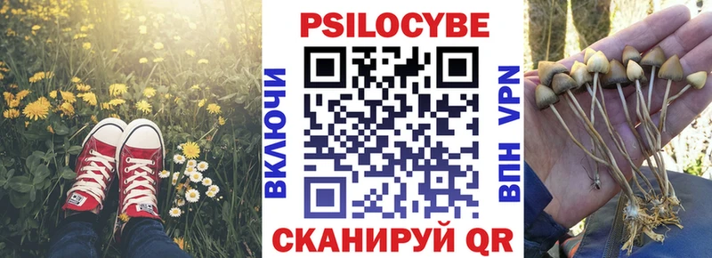 Псилоцибиновые грибы Cubensis  ОМГ ОМГ ссылка  Уварово 